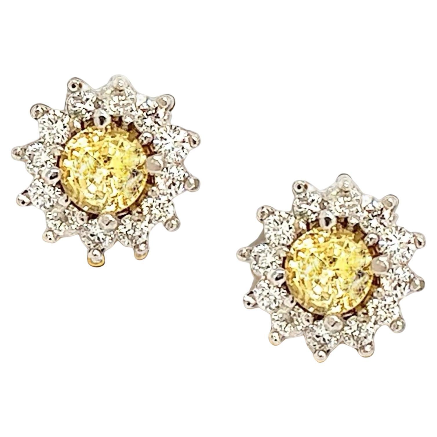 Orecchini con zaffiri gialli naturali e diamanti in oro 14k 2,91 TCW

Certificato $4,950 121264

Questi lussuosi e magnifici orecchini a perno in zaffiro rotondo giallo finemente sfaccettato e diamante sono un'aggiunta abbagliante a qualsiasi