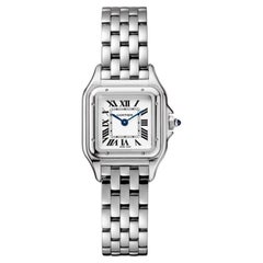 Cartier Small Panthère De Cartier Watch Silver Dial Steel Ladies Watch WSPN0013