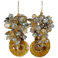 Ammonite Citrine Topaz Pyrite Labradorite Cluster Earrings