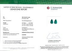 Boucles d'oreilles pendantes en platine, ornées d'une émeraude colombienne en forme de poire d'un vert éclatant de 15,69 carats et de diamants