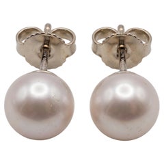 Tiffany & Co. 18K White Gold Pearl Stud Earrings