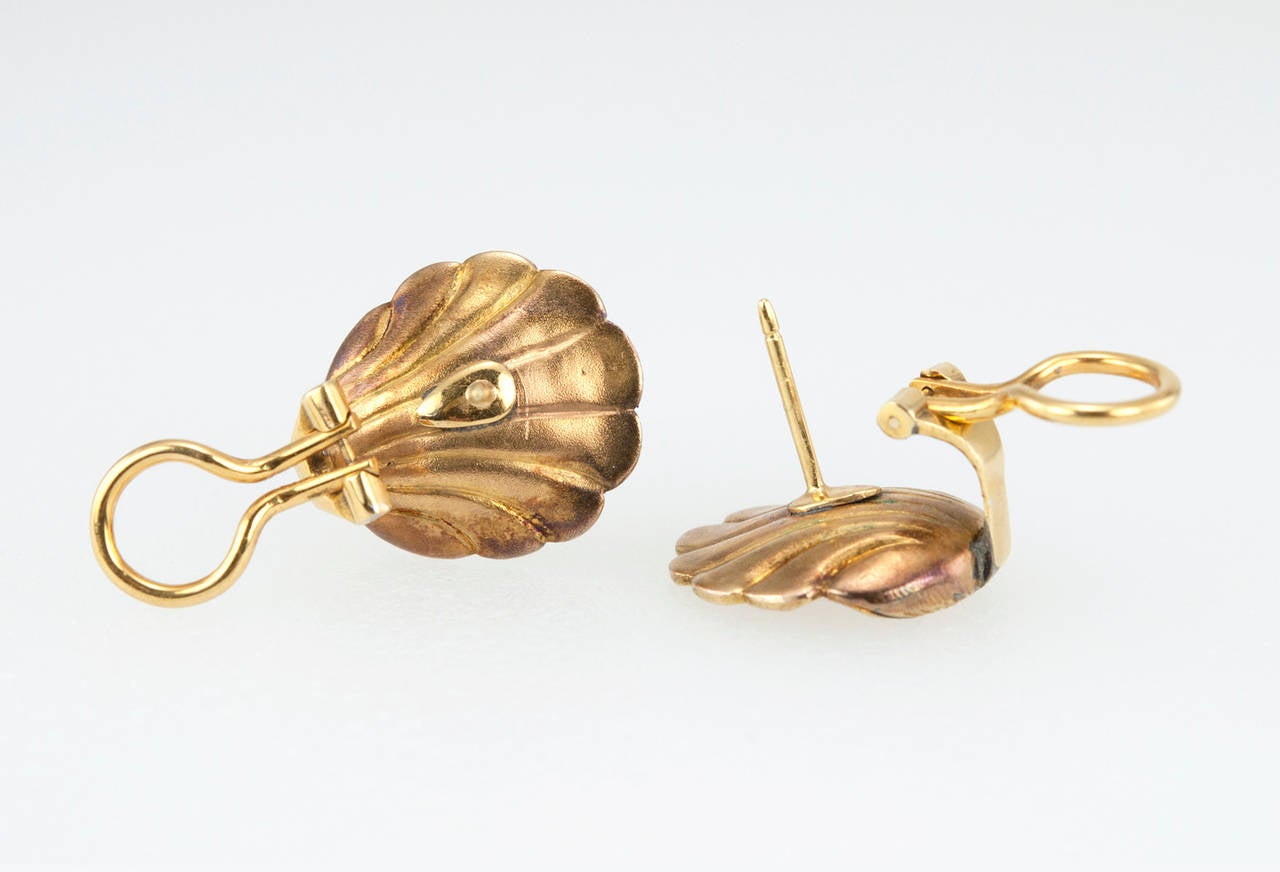 rose gold shell earrings