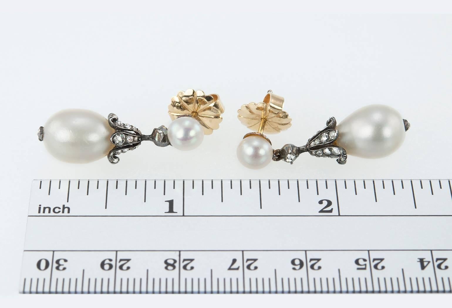 Victorian antique natural pearl and diamond dangle earrings in 18 karat yellow gold and silver.  The earrings feature 2 natural, button white pearls at the top that have a pinkish overtone with rose cut diamonds below that emanate a subtle sparkle.