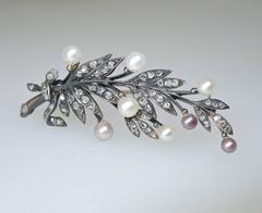 Antique French Natural Pearl Diamond Silver gold Brooch