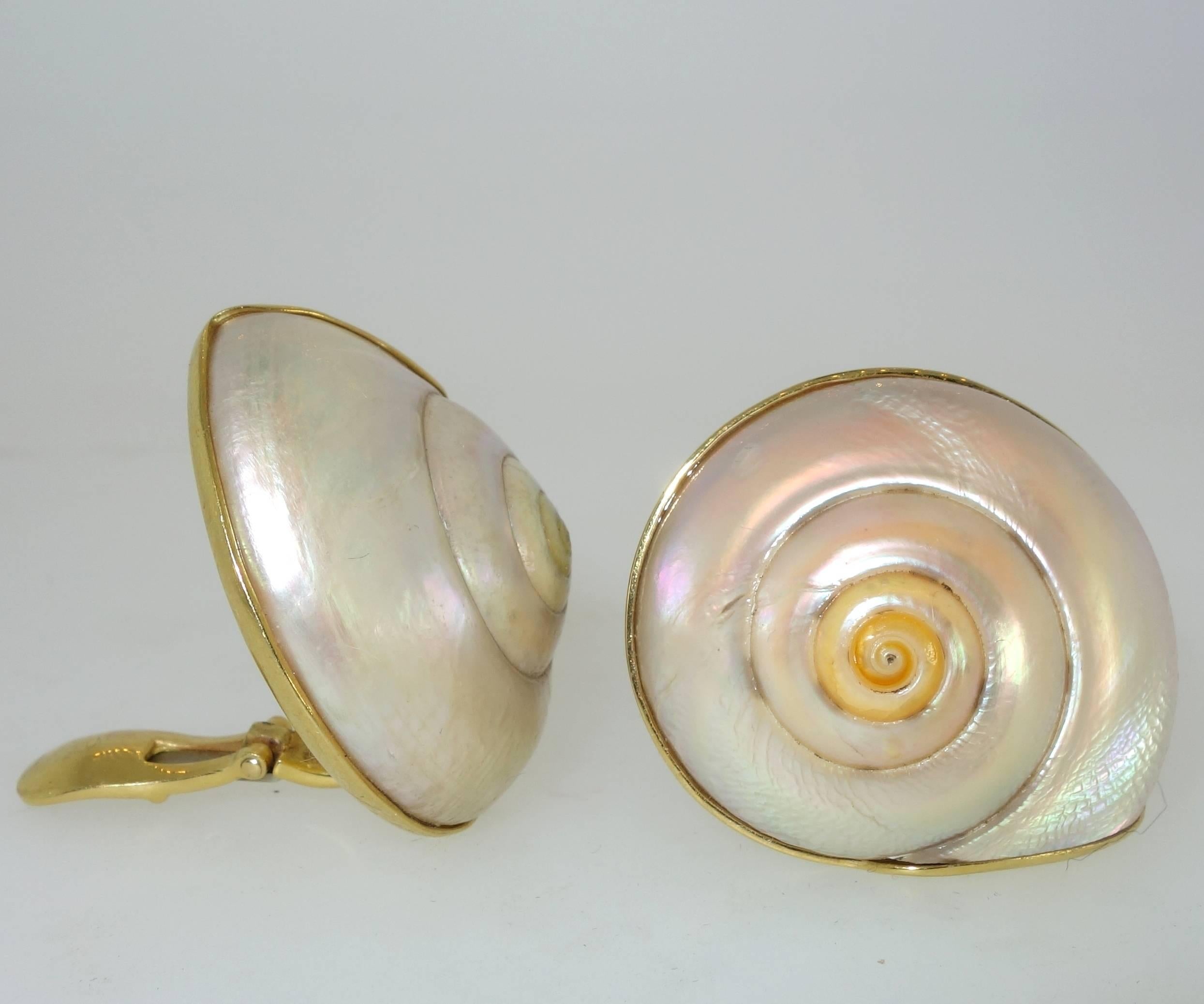 Contemporary Andrew Clunn Unusual yellow gold Shell Earrings
