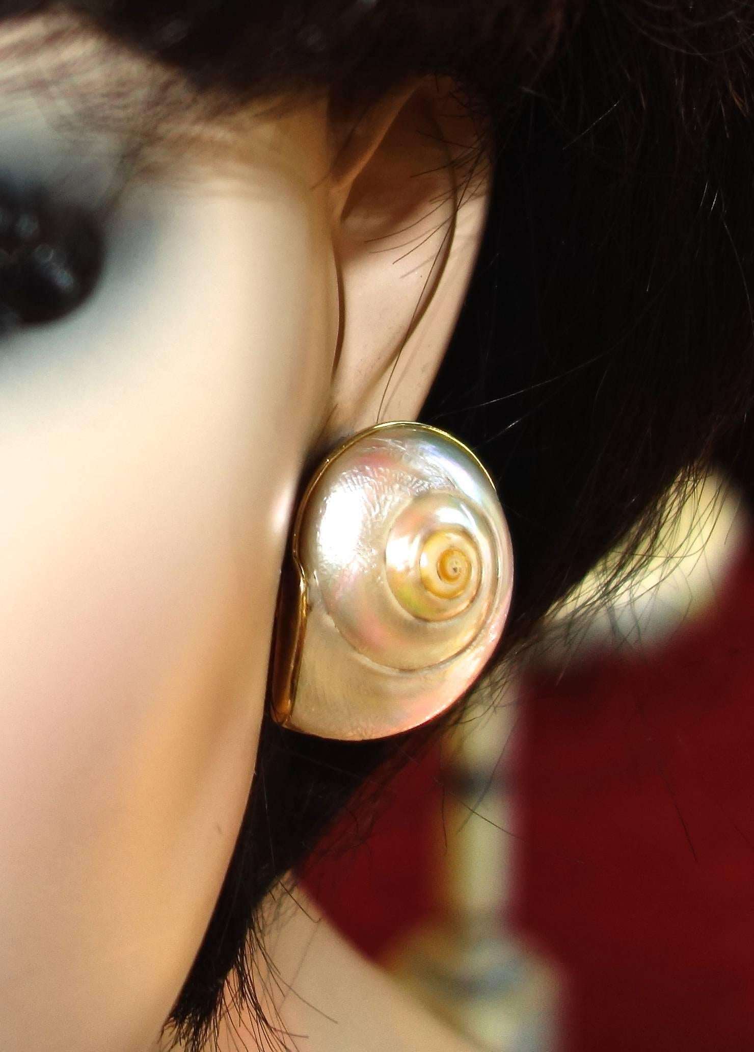 18K yellow gold earrings centering an unusual shell by the famous designer Andrew Clunn.