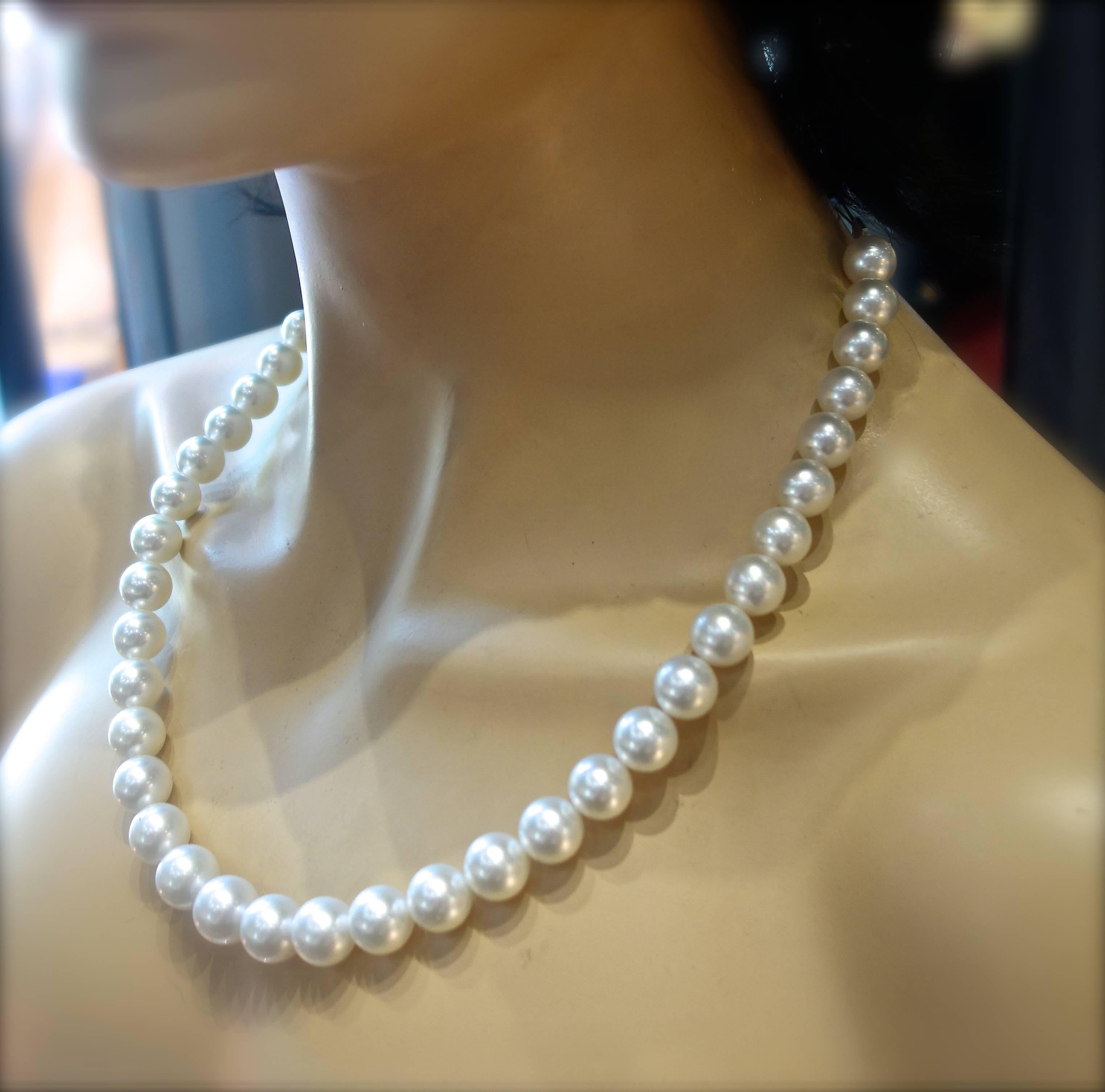 Fine Strand of South Sea Pearls 1