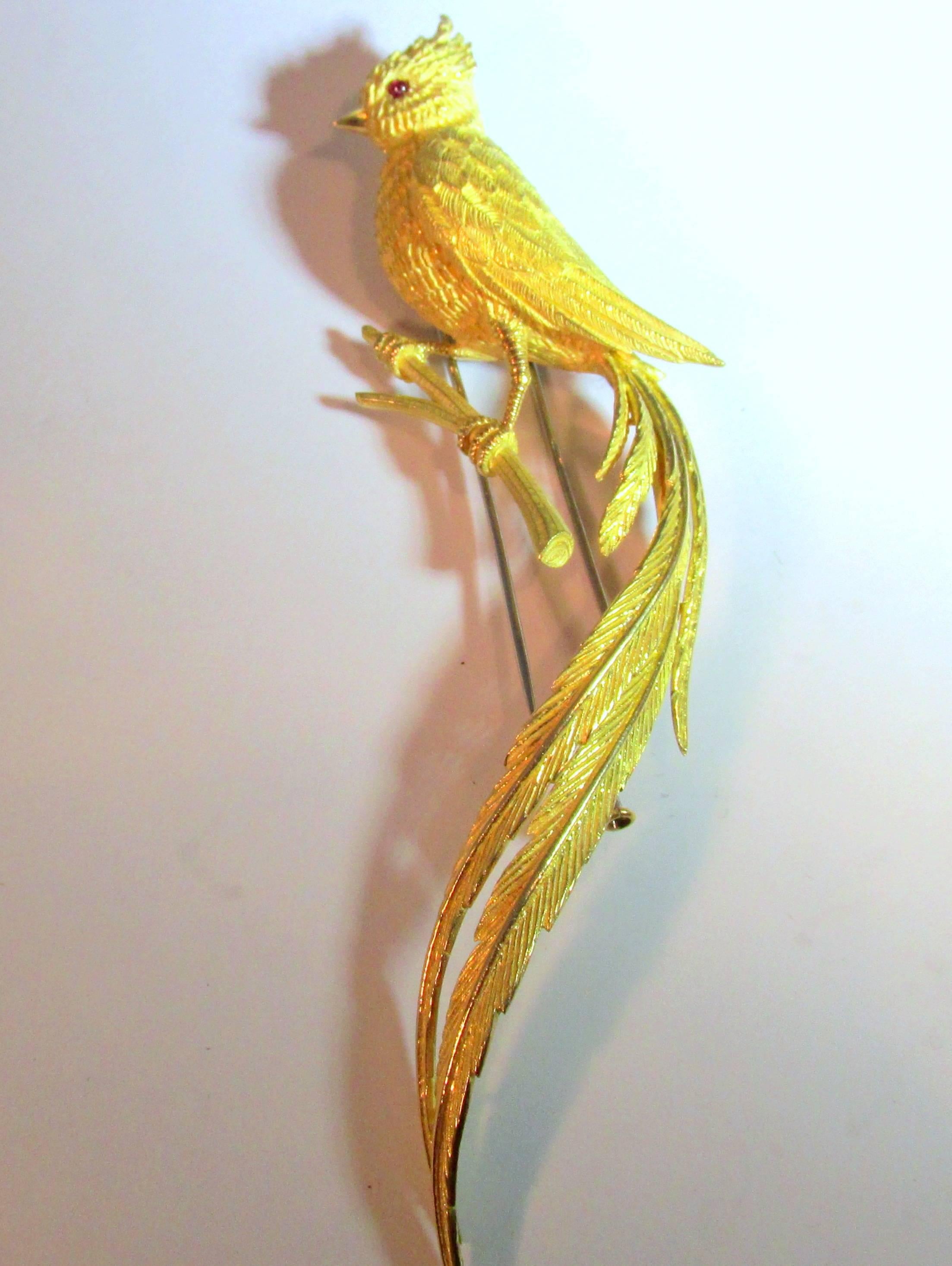 This is a well executed bird of paradise on a branch.  The bird is realistically hand carved with a small ruby eye and  flamboyant tail feathers.  It has a double prong brooch attachment on the verso.