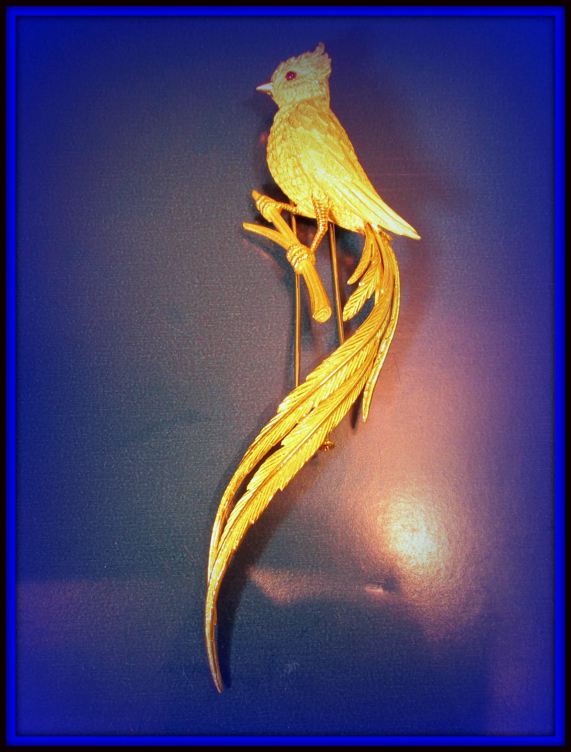 1960s French Bird of Paradise Gold brooch 1
