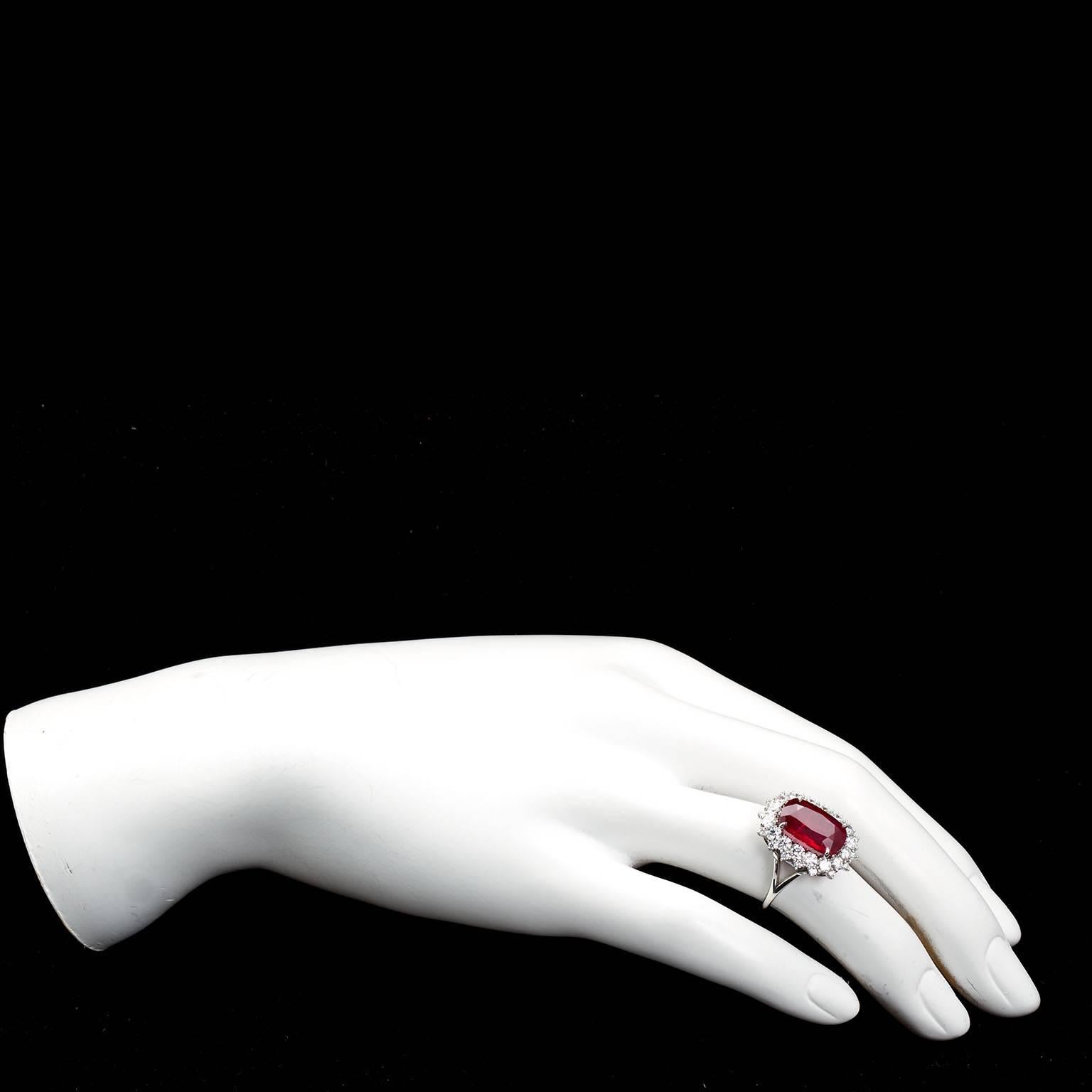 A center brilliant/step cushion cut ruby weighing 5.95 carats set in a round brilliant diamond border in platinum engagement ring. What a showpiece.  A ring to take home, the center stone has been described by ruby experts as one of the finest level
