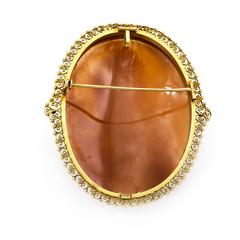 Carved Shell Cameo 14KT Gold Filigree Pin Pendant Italy