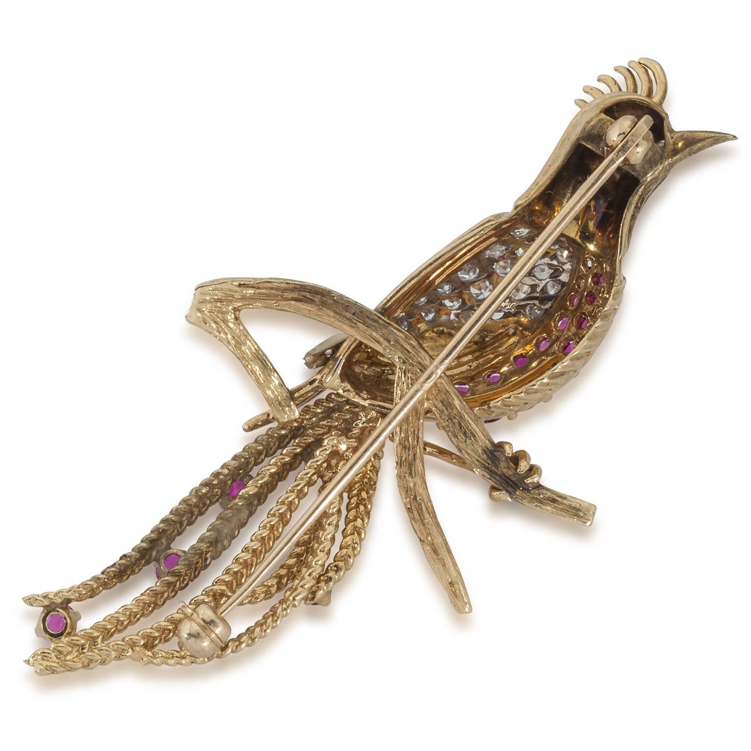 antique peacock brooch