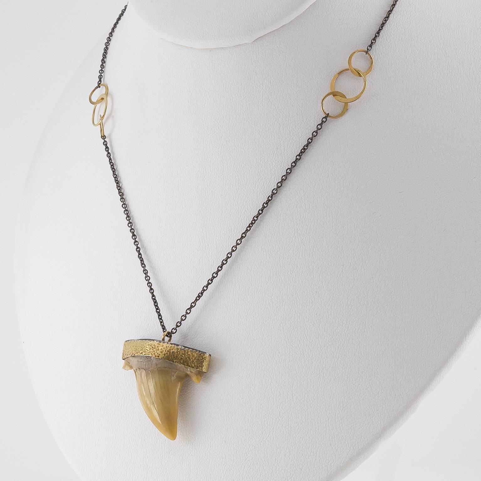 This stunning shark tooth necklace looks like a fossil found in Ancient Egypt. It's hand made in the San Francisco Bay Area and is adorned in 14K gold and oxidized sterling silver. Truly one of a kind. 