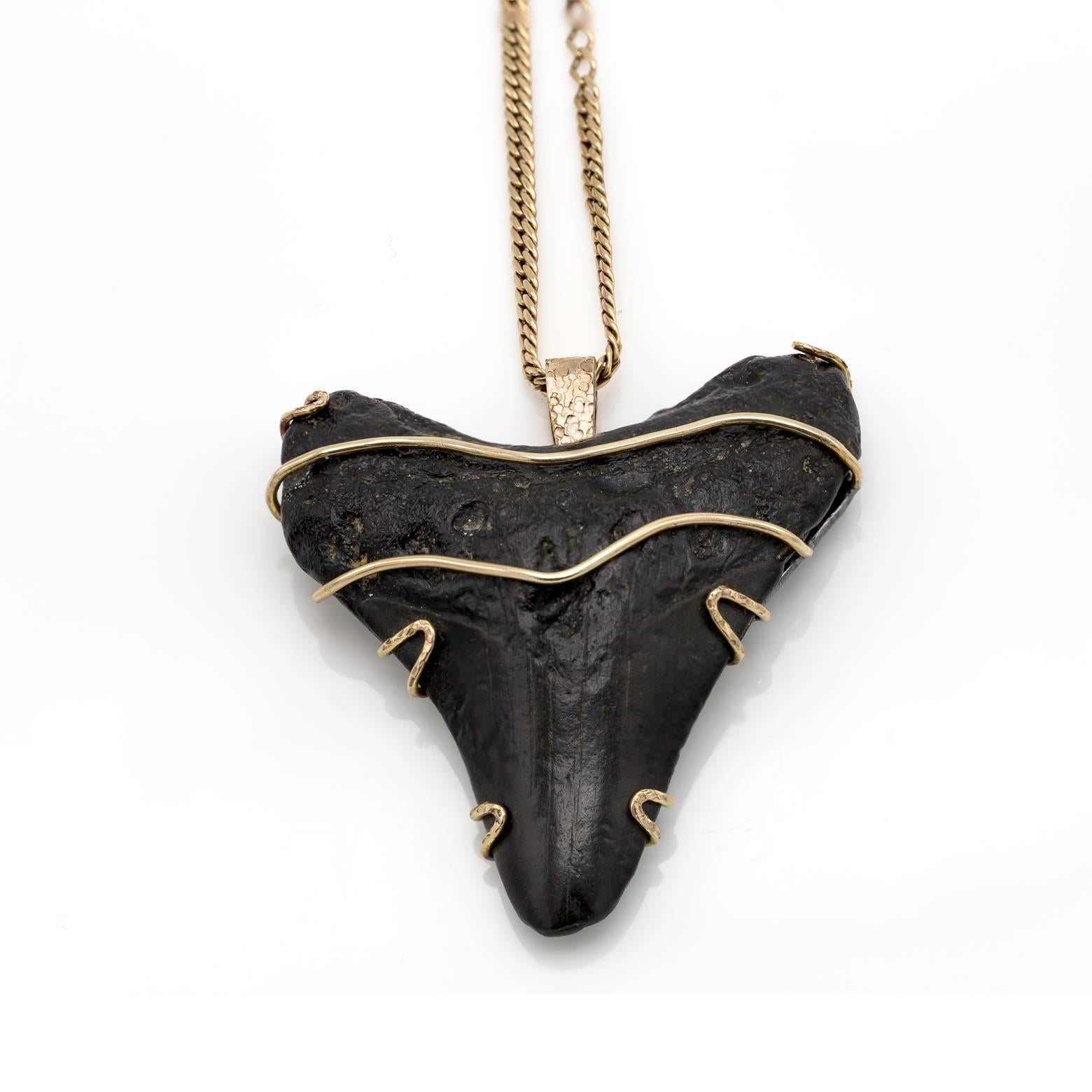 Fierce and auspiciously elegant this petrified shark's tooth pendant is sure to decorate you in some of the earth's finest. Fixed with hammered 14K yellow gold the elegant texture compliments the roughness of this substantial piece. 