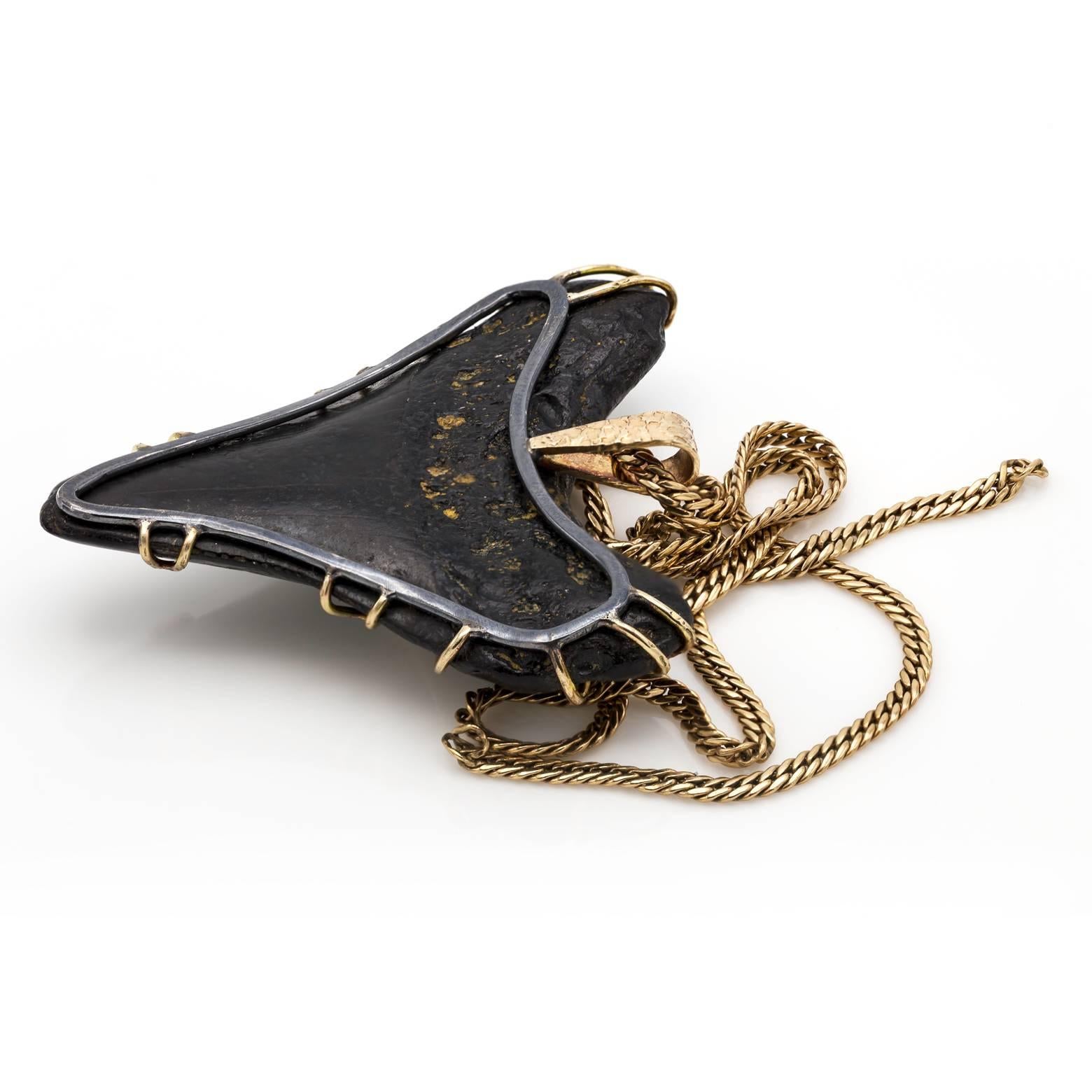 Modern Petrified Dark Shark's Tooth Pendant in Yellow Gold