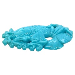 Carp Turquoise Cts 25.04