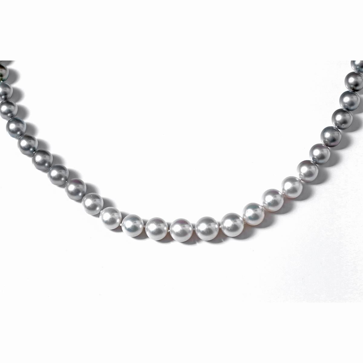 This stunning necklace features 63 piece, 11-15mm, South Sea pearls with a 14k white gold and diamond clasp. Necklace is apx. 34-inches in length.  Total weight is 190.6 grams.