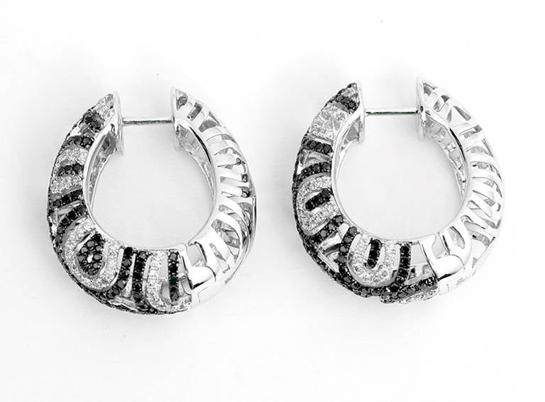 Natalie K White Black and White Diamond Gold Swirl Hoop Earrings