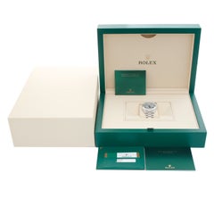 Rolex Platinum President Day-Date Men's Watch 228206