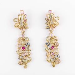 David Webb Multi-Sapphire Cluster Day/Night 18K Gold Earrings