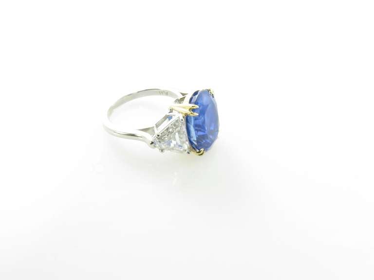 Ein wunderschöner Ring mit drei Steinen aus Saphiren und Diamanten in Platin. (Zeitgenössisch)