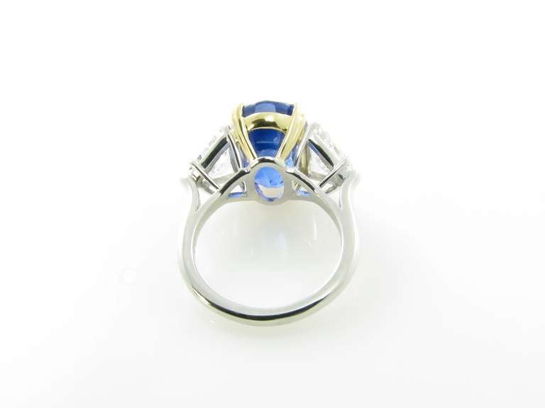 Ein wunderschöner Ring mit drei Steinen aus Saphiren und Diamanten in Platin. Damen