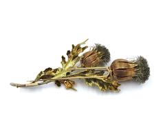 M. Buccellati silver Two color gold Thistle brooch