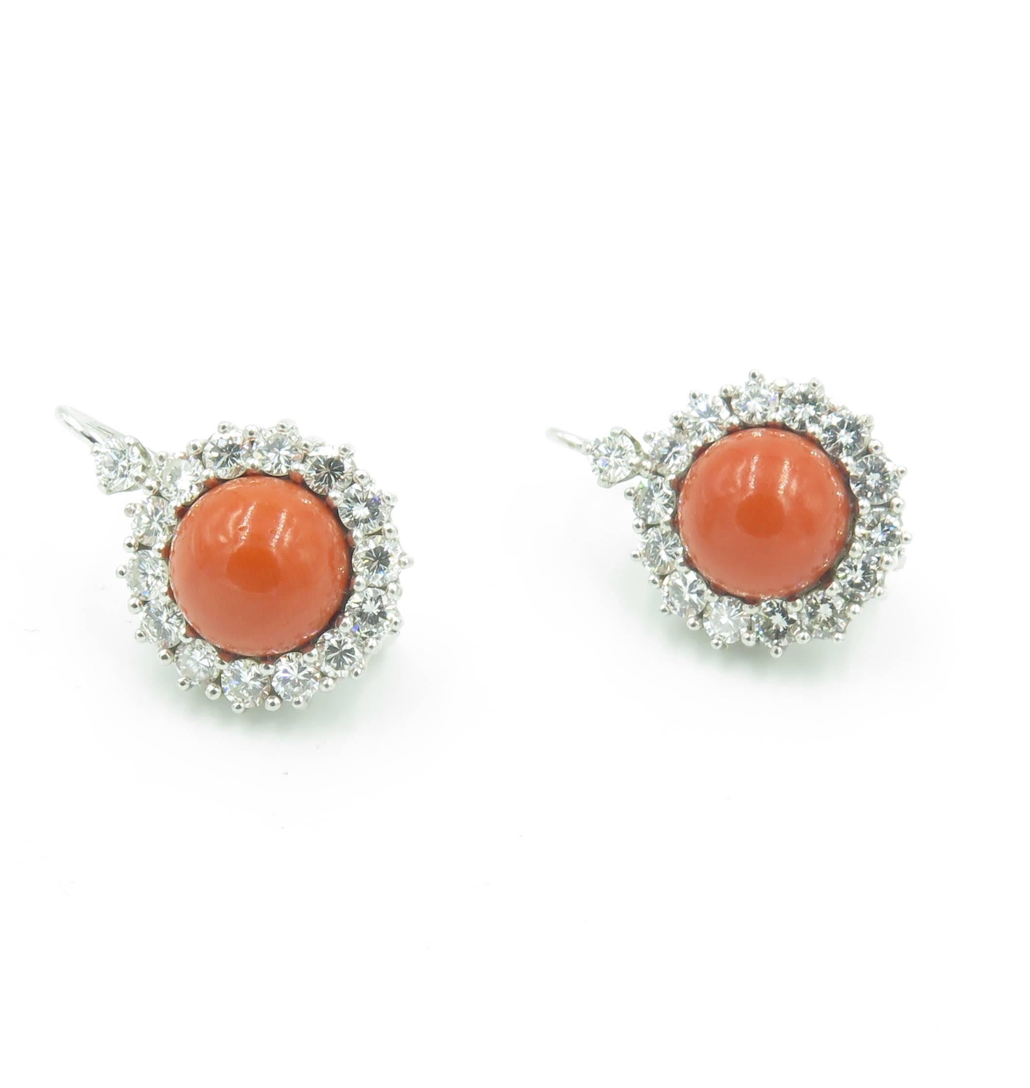 Ein Paar Ohrringe aus 18 Karat Weißgold:: Korallen und Diamanten.  Ca. 1970.  Die Ohrringe sind in Form eines Tropfens gestaltet:: in dessen Mitte sich ein runder Korallen-Cabochon befindet:: der von (14) vierzehn runden Diamanten im Brillantschliff