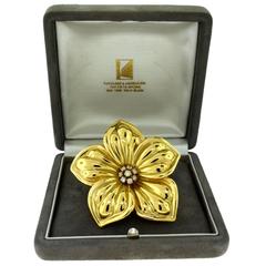 Van Cleef & Arpels Large Yellow Gold Magnolia Brooch with Diamonds