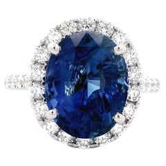 Alexander Beverly Hills GIA 7.31ct Oval Ceylon Sapphire & Diamond Ring 18k