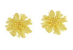 Tiffany & Co. Alpine Rose Gold Earrings