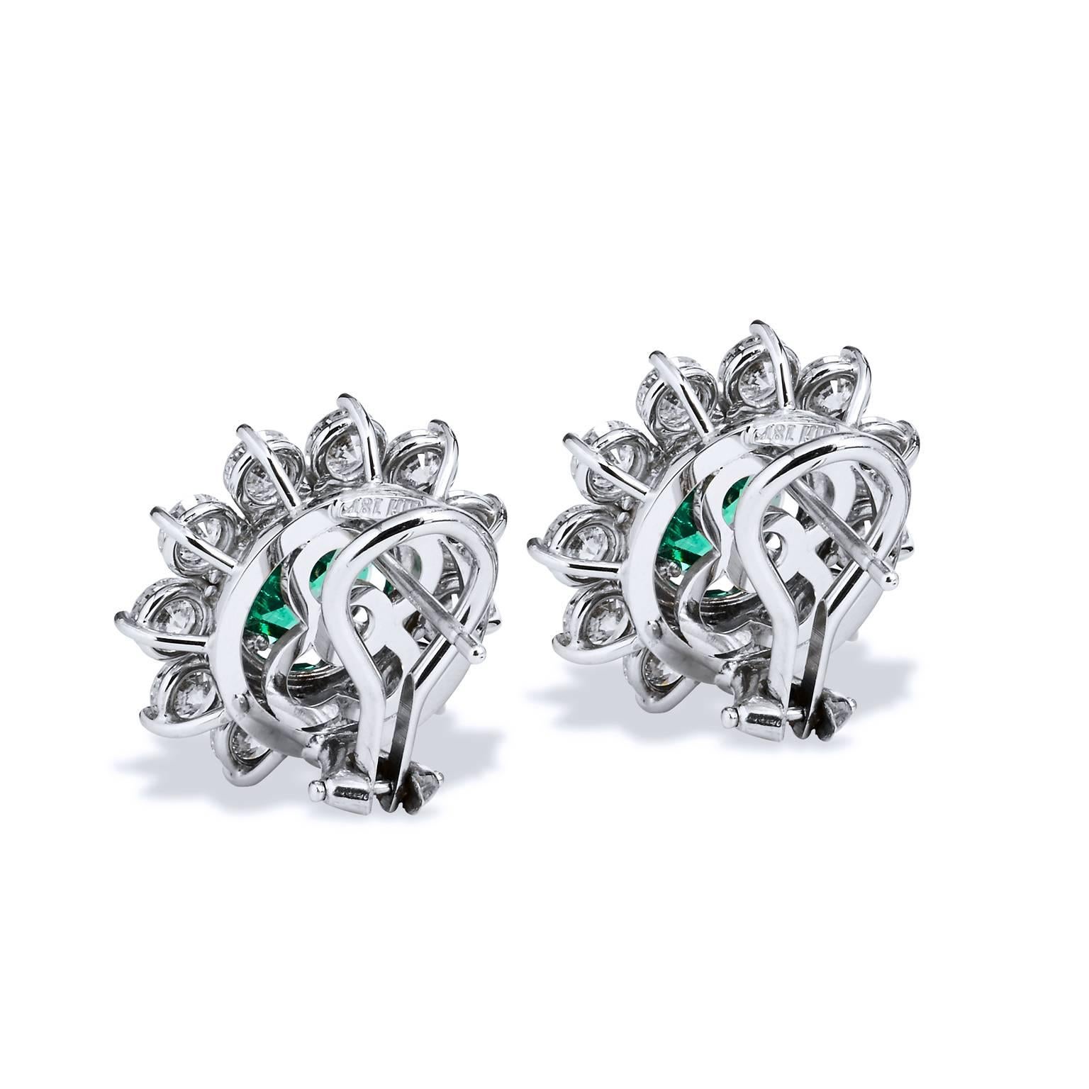 Women's 2.69 Carat Zambian Emerald with 3.46 Diamond Earrings in 18 Karat White Gold