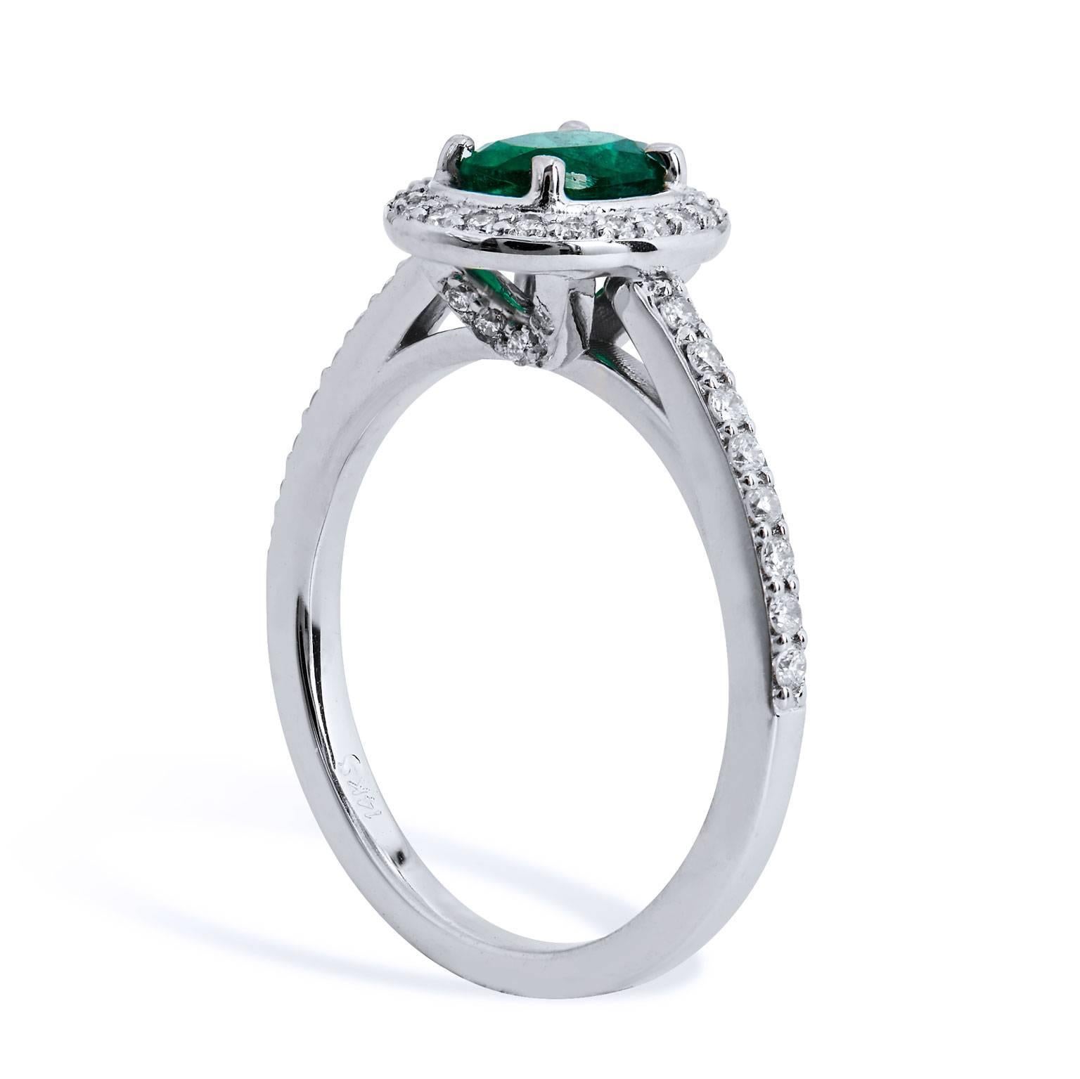 14 karat white gold forms the base for this luscious handmade H & H emerald and diamond ring. Taking center stage is a 0.64 carat oval cut Zambian Emerald displaying a vivid green hue. Clutching the center gemstone and trailing down the shank