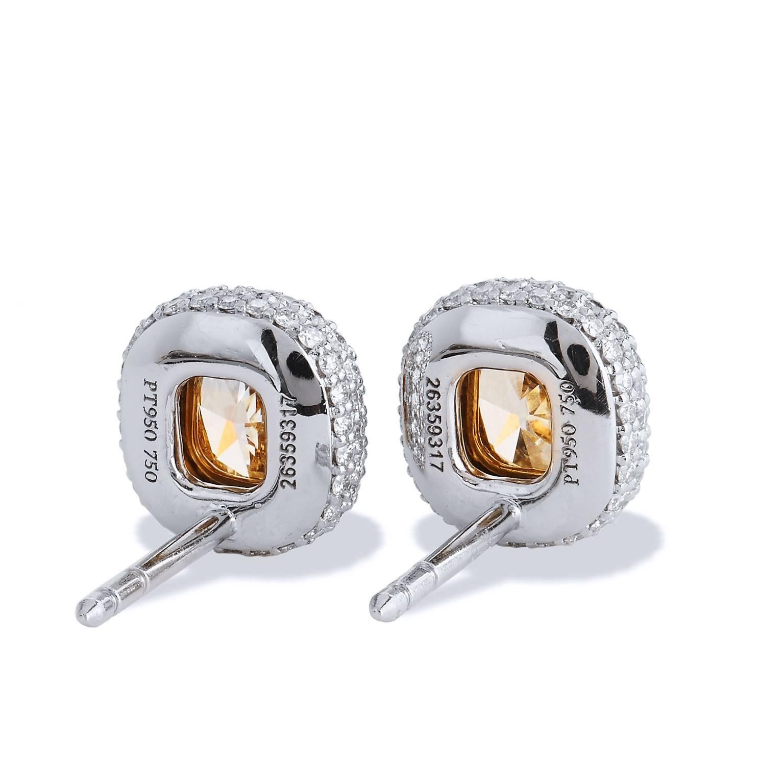 Enjoy these previously loved Tiffany & Co platinum and 18 karat yellow gold stud earrings featuring two fancy yellow diamonds set at center with a total weight of 1.68  carat (IF/VS1). To further enhance the glowing fancy yellow cushion cut diamond