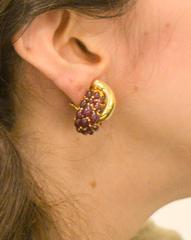 Seaman Schepps Yellow Gold and Ruby Earrings