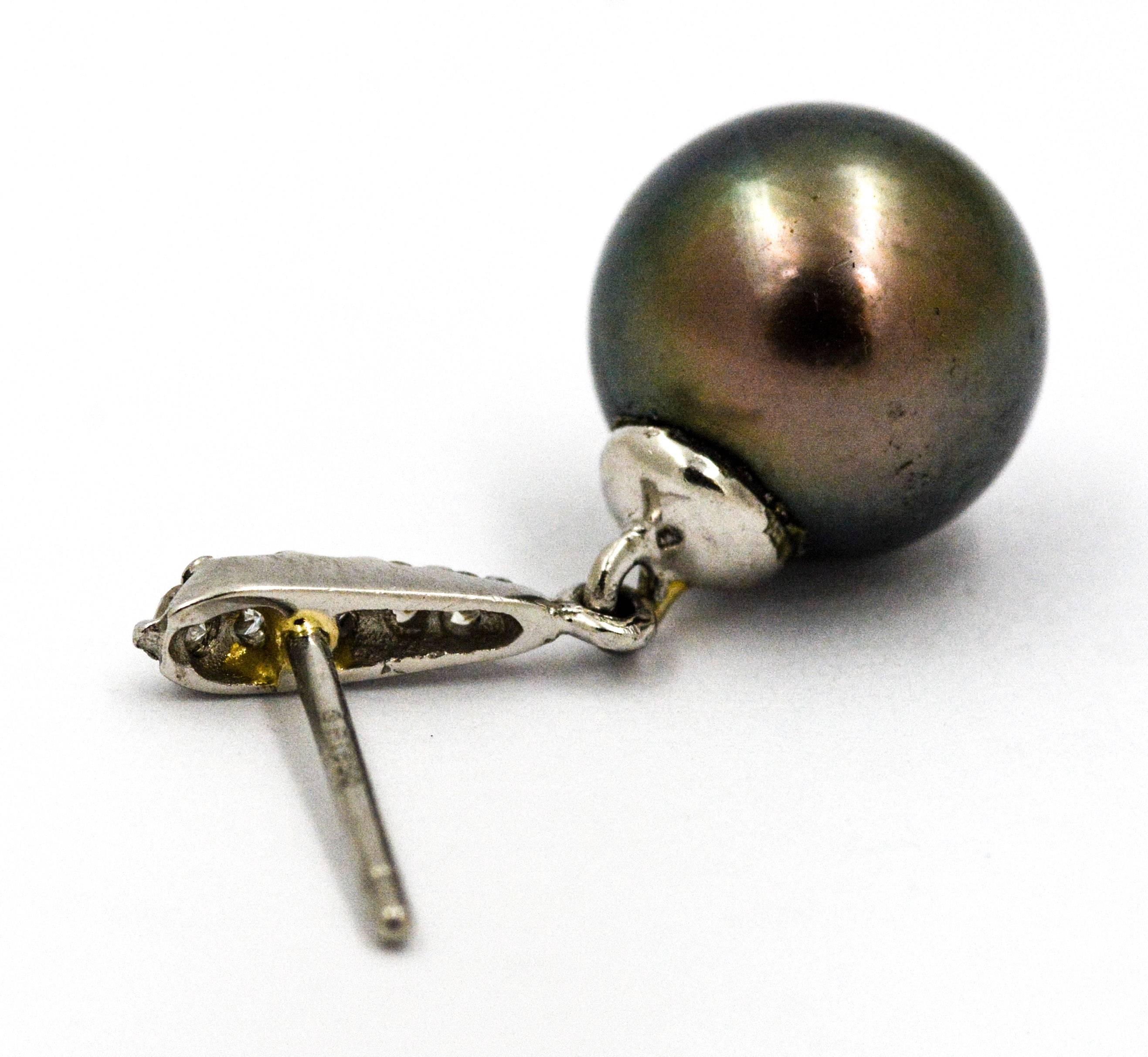 Cultured Black Pearl Drop Earrings 1