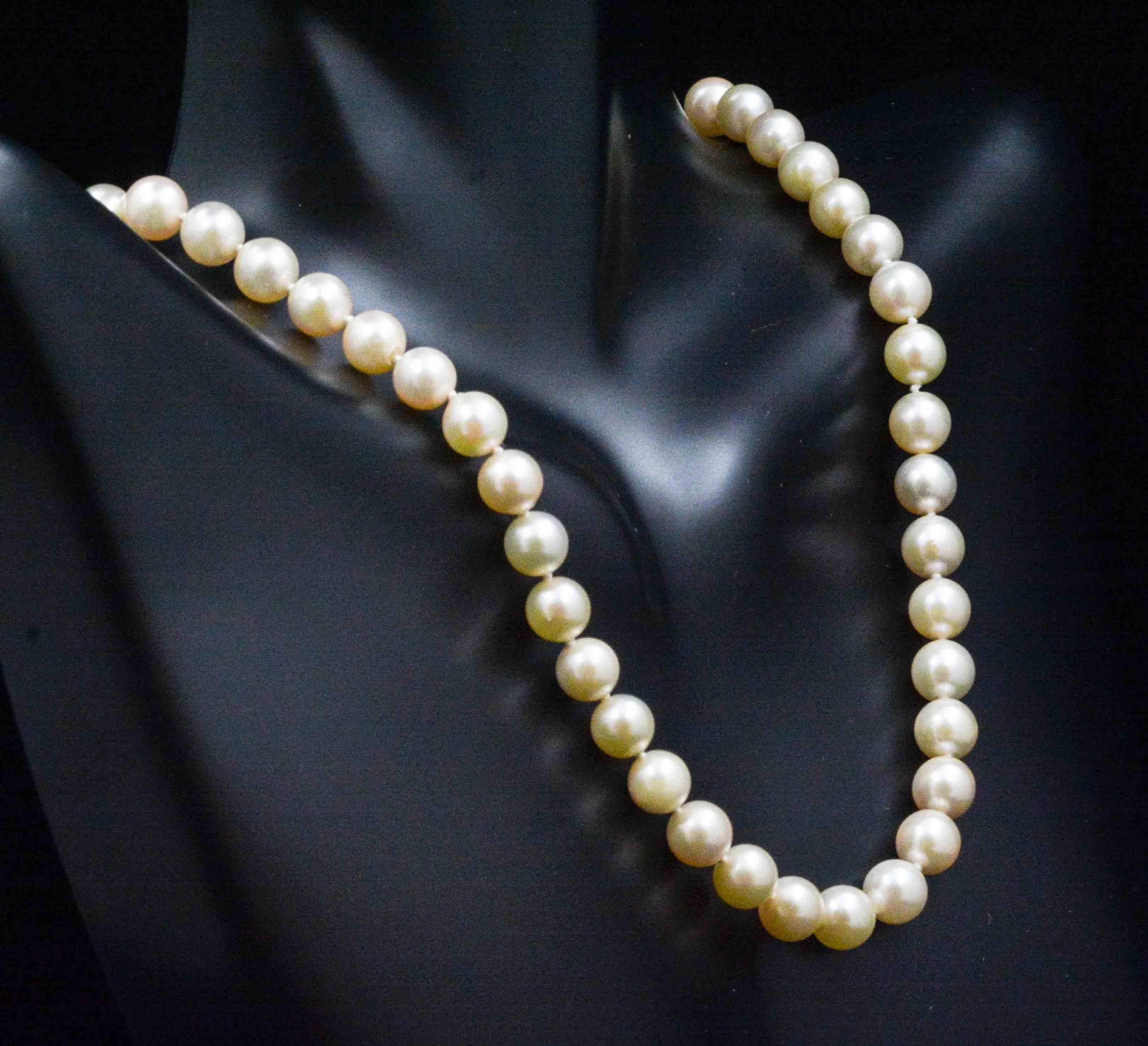 Modern Cream Cultured Pearls Necklace