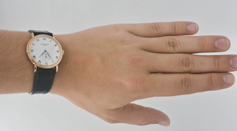 patek philippe calatrava on wrist