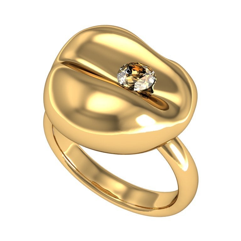 Barbara Nanning & Sparkles Diamond and Gold Ring