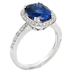 Laborgezüchteter ovaler Saphir 3,68 Karat in 18K Weißgold Halo Round Diamond Ring