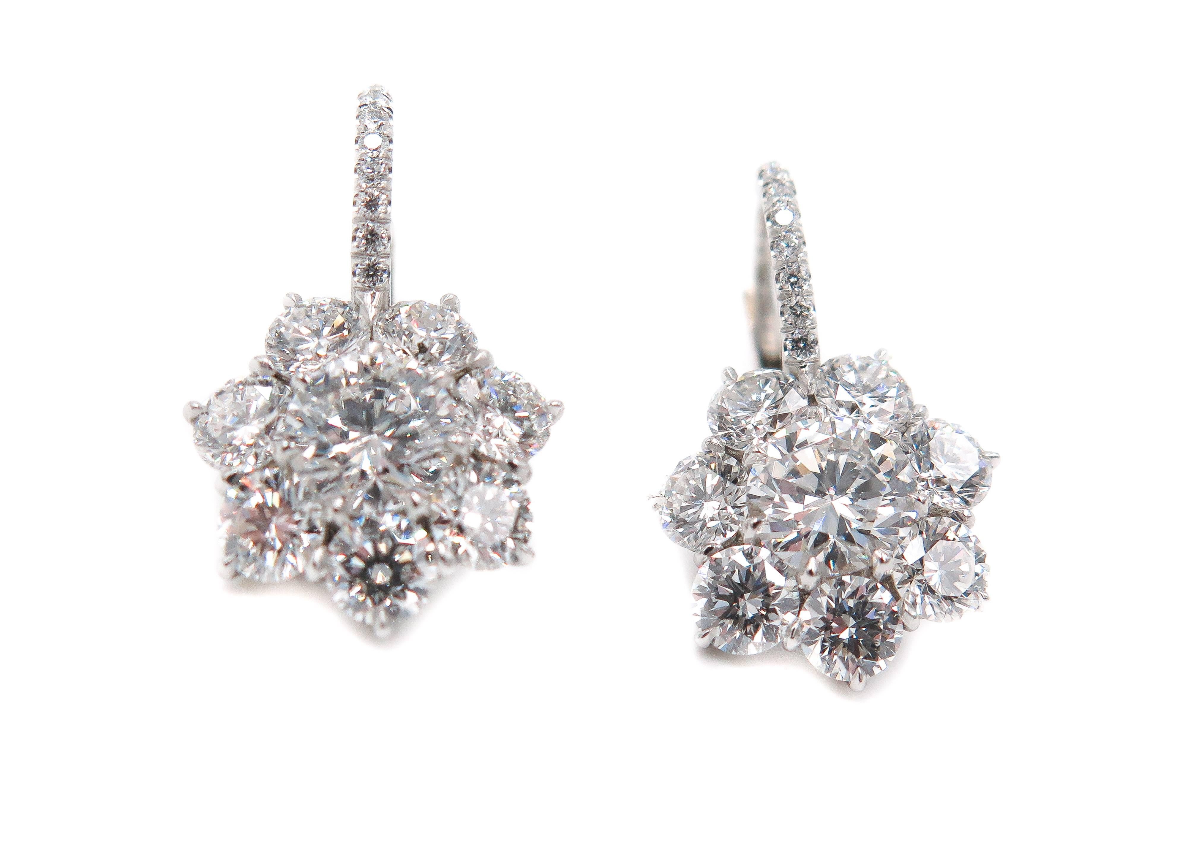 Women's Flower Diamond Cluster Drop Earrings in Platinum