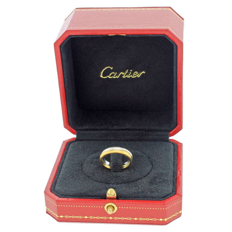 Dihn Van for Cartier Paired Rings 4
