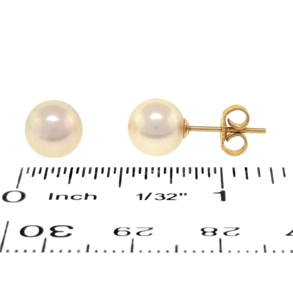 Mikimoto Pearl and Gold Studs 2