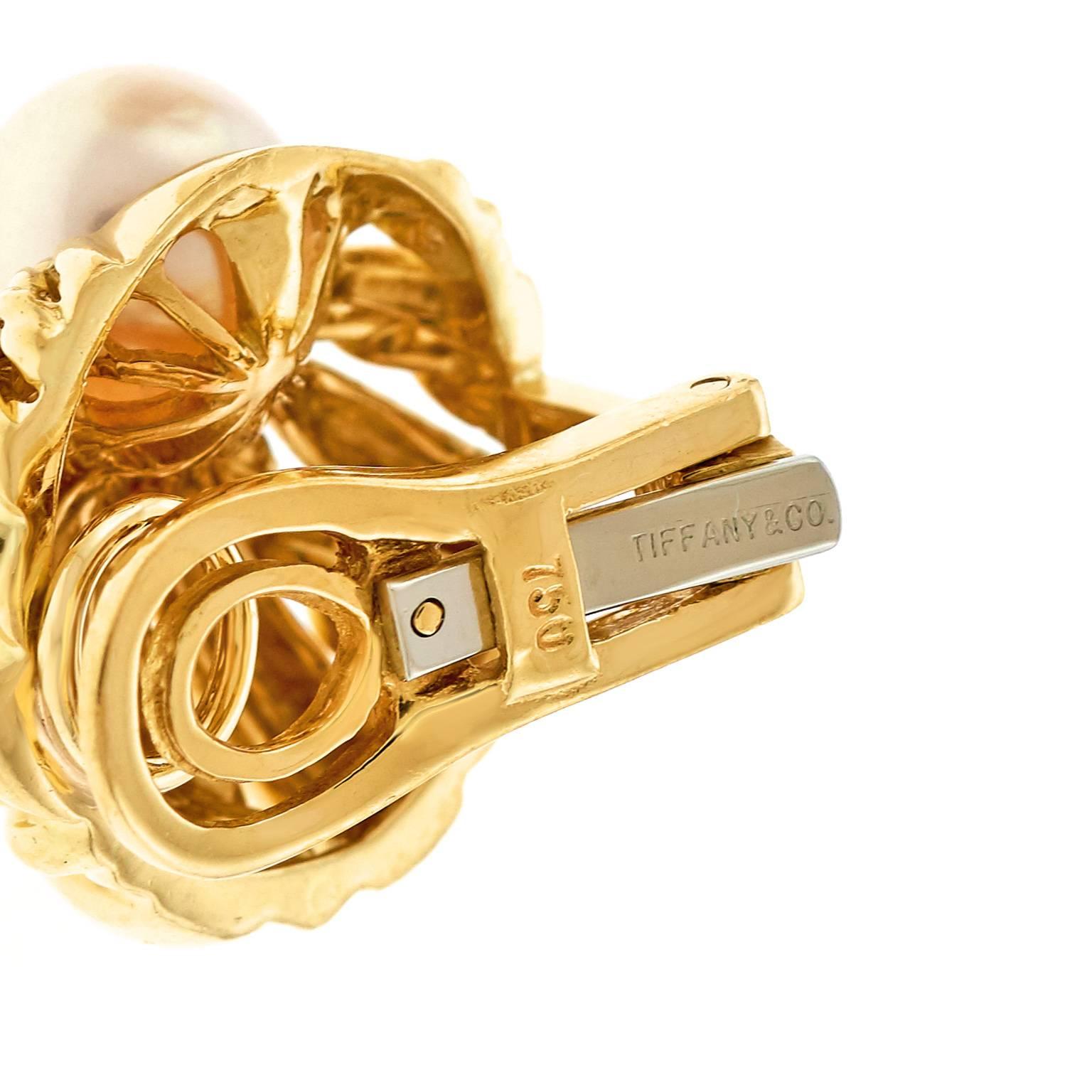 Tiffany & Co. Pearl Set Shell Motif Gold Earrings 1