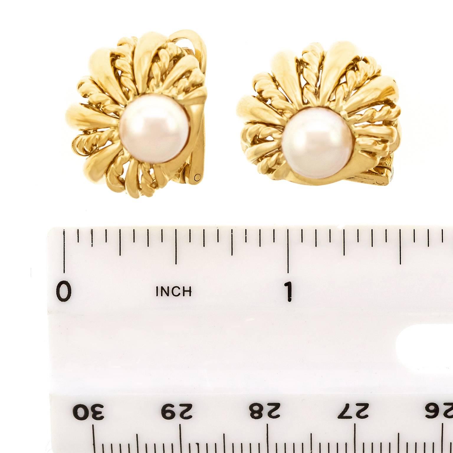 Tiffany & Co. Pearl Set Shell Motif Gold Earrings 2