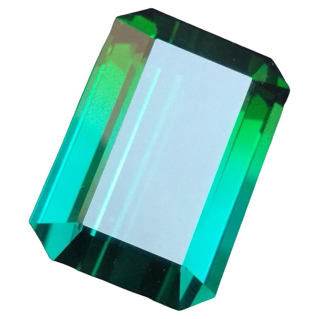 Unheated Natural Bi-Color Blue Green Tourmaline Ring Gem 86.15 Carat For Sale