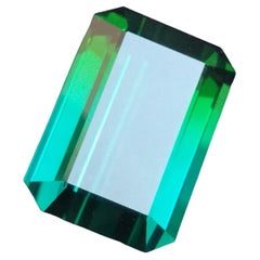 Unheated Natural Bi-Color Blue Green Tourmaline Ring Gem 86.15 Carat