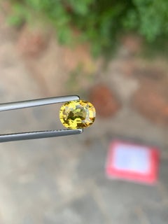 1.75 Carat Natural Mali Garnet