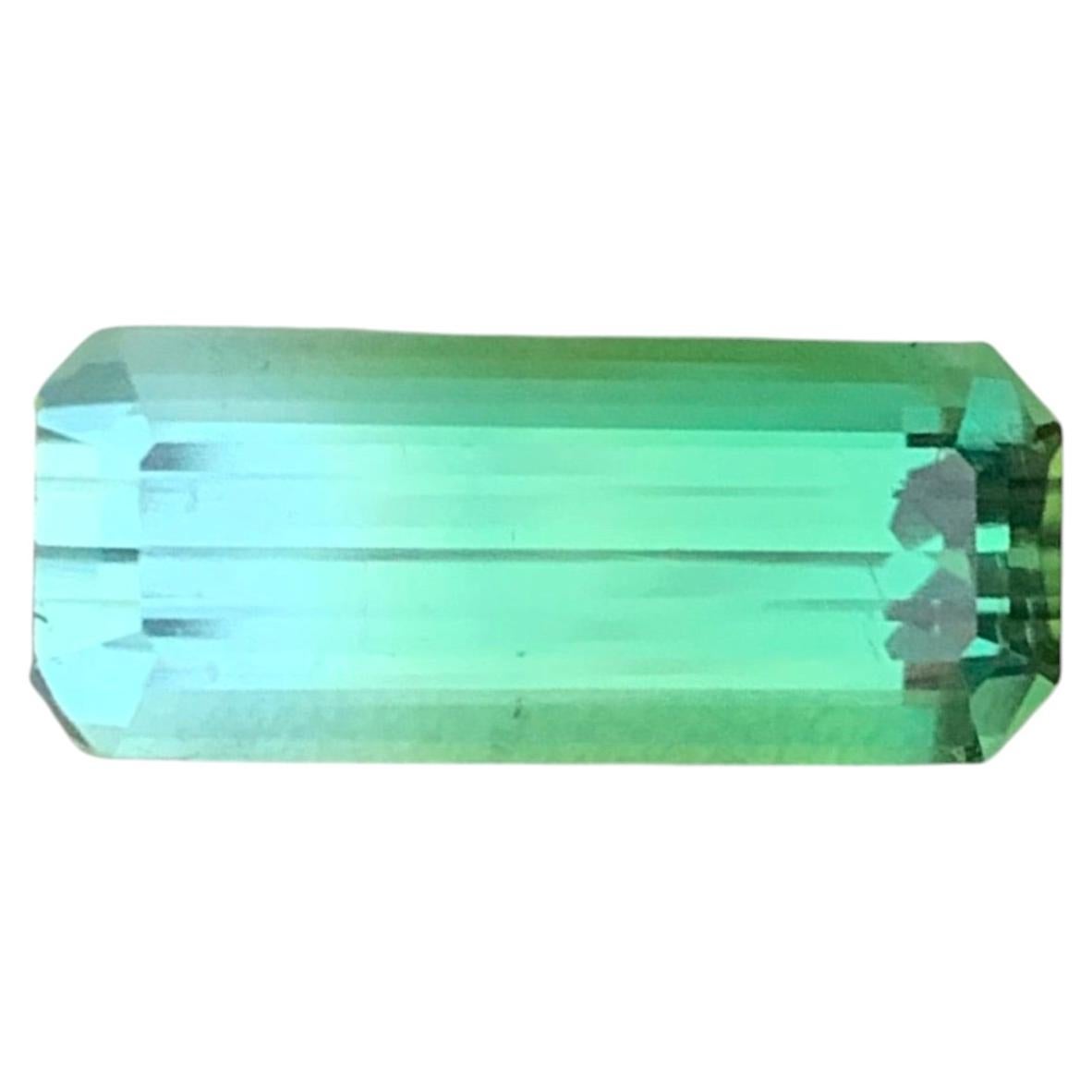 4.70 Carats Natural Faceted Bicolour Tourmaline For Sale