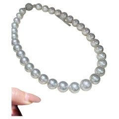 Collier NWT à 180 000 $, certifié en or 18 carats, avec une grande perle des mers du Sud et des diamants